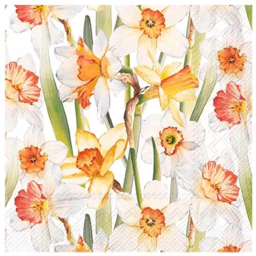 IHR 3-lags Frokostserviet 33x33cm 20stk - Daffodil Joy