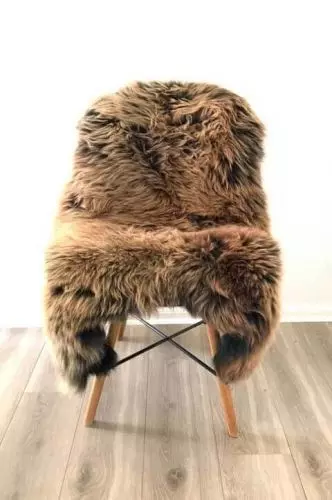 Lammeskind Europa - Cappuccino