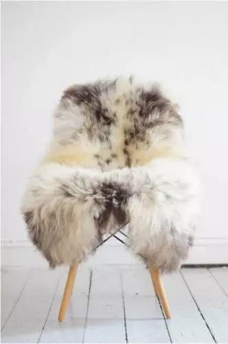 Lammeskind Europa - Flerfarvet