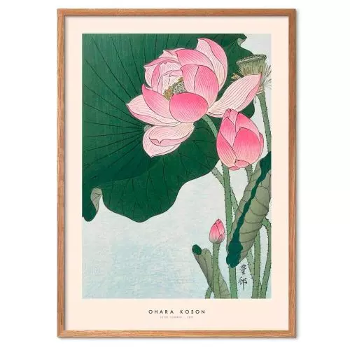 Ohara Koson - Lotus flowers