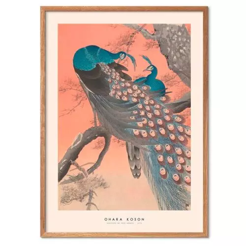 Ohara Koson - Peacock on tree branch