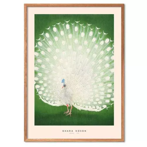 Ohara Koson - Peacock