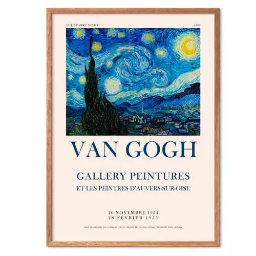 Vincent van Gogh - A starry night