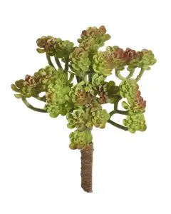 Evigheds Mini sukkulenter H22cm