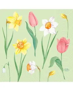 Duni Frokostserviet 3-lags 50stk - Spring Melody