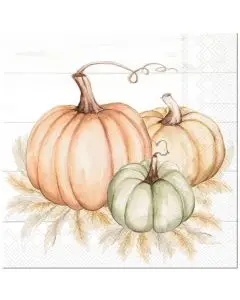 IHR Kaffeserviet 3-lags 20stk - Pumpkin Trio