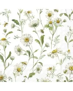 IHR Kaffeserviet 3-lags 20stk - Daisies