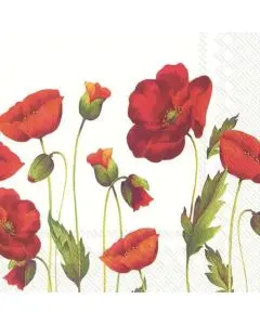 IHR Frokostserviet 3-lags 20stk -  Poppy White