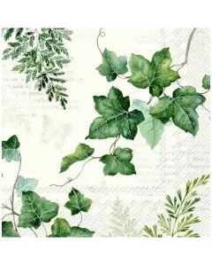 Ihr Frokostserviet 3-lags 20stk - Elwin Cream