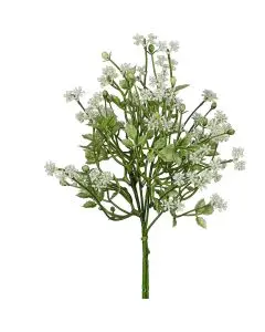 Evighedsblomst Pumila bundt hvid 34 cm