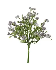 Evighedsblomst Pumila bundt lys lilla 34 cm