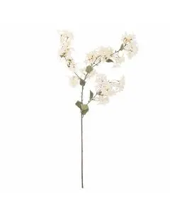 Evigheds Myrtle Gren - Hvid