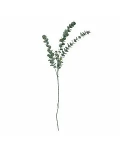 Evigheds Eucalyptus Stilk - Grøn