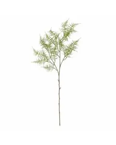 Evigheds Fern Stilk, Grøn H89cm