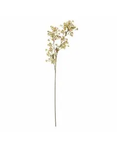 Evighedsblomst Waxflower Stilk, Hvid H91cm