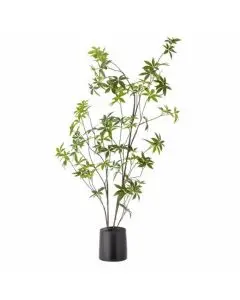 Evighedsplante Copper - Grøn