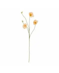 Evighedsblomst Poppy 110cm - Natur