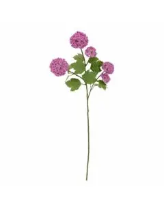 Evighedsblomst Poppy 110cm - Natur