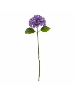 Evighedsblomst Poppy 110cm - Natur