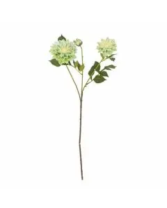 Evigheds Reed Stilk 70cm - Hvid