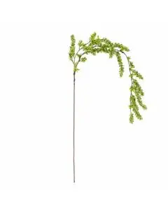 Evigheds Eucalyptus Stilk - Grøn