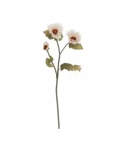 Evigheds Reed Stilk 70cm - Hvid