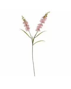 Evighedsblomst Poppy 110cm - Natur