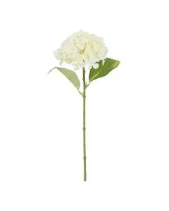 Evigheds Hortensia hvid 40 cm