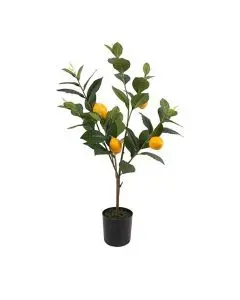 Evigheds citrontræ i potte h 61 cm