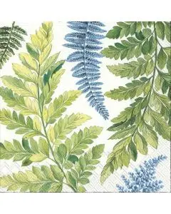 IHR Kaffeserviet 3-lags 20stk - Arwea White Blue