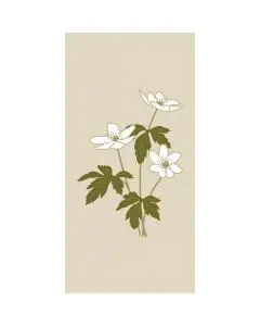 Ib Laursen Middagsserviet 3-lags 16stk - Anemoner