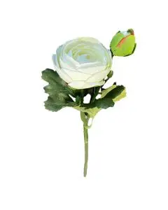 Evighedsblomst Ranunkel 34cm - Hvid