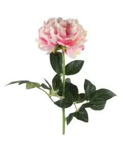 Evigheds Peony rosa 70cm