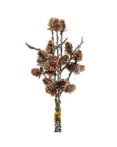 Koglegren 3stk - 28 cm