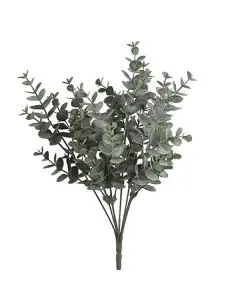 Evigheds Eucalyptus busk H35cm - Støvet Grøn