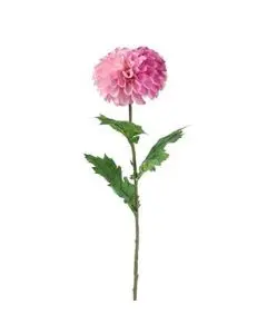 Evighedsblomst Dahlia lilla 75cm