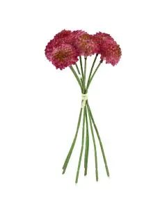 Evighedsblomst Dahlia bundt pink - 26cm