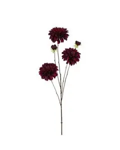 Evighedsblomst Dahlia mørke lilla 89cm