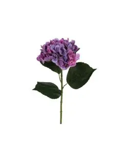 Evigheds Hortensia blå 40 cm