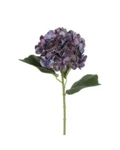 Evighedsblomst Hortensia Lilla H65cm