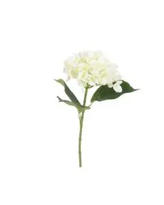 Evigheds Hortensia blå 40 cm