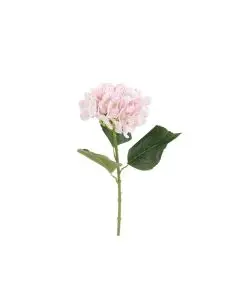 Evigheds Hortensia blå 40 cm