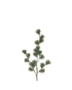 Evigheds Ceder Gran Støvet Grå H78cm