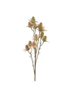 Evigheds Artiskok Lilla Bundt H36cm - 3stk