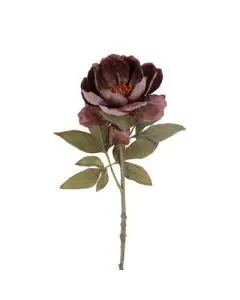 Evigheds Artiskok Lilla Bundt H36cm - 3stk