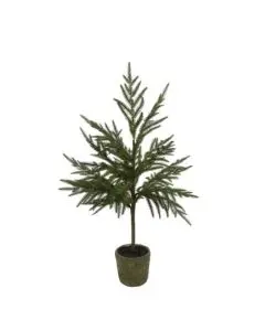 Evigheds Juletræ Opstammet i Potte H74cm