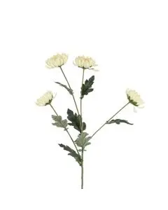 Evighedsblomst Chrysanthemum Creme H83cmEvighedsblomst Chrysanthemum Creme H83cm