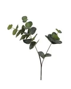 Evigheds Barbara Salix Bundt 3stk Creme 56cm