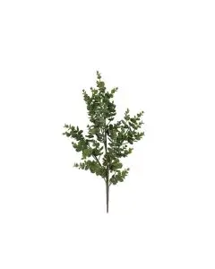 Evigheds Eucalyptus H75cm - Grøn