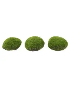 Evigheds Mos Puder 3stk Lys Grøn